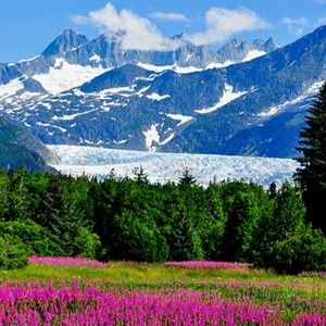 Meet your Posher, Cassandra